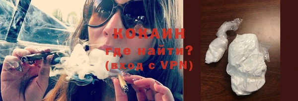 МДПВ Снежногорск