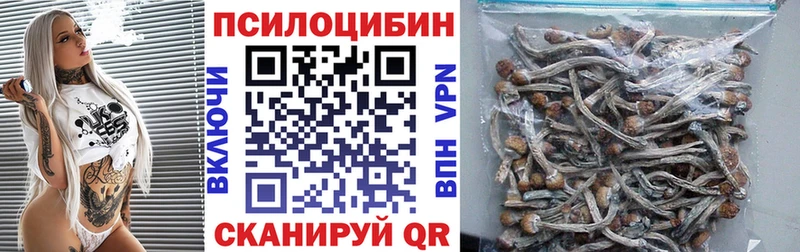 гидра ТОР  Верещагино  Галлюциногенные грибы MAGIC MUSHROOMS 